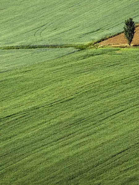 120 nowych działek